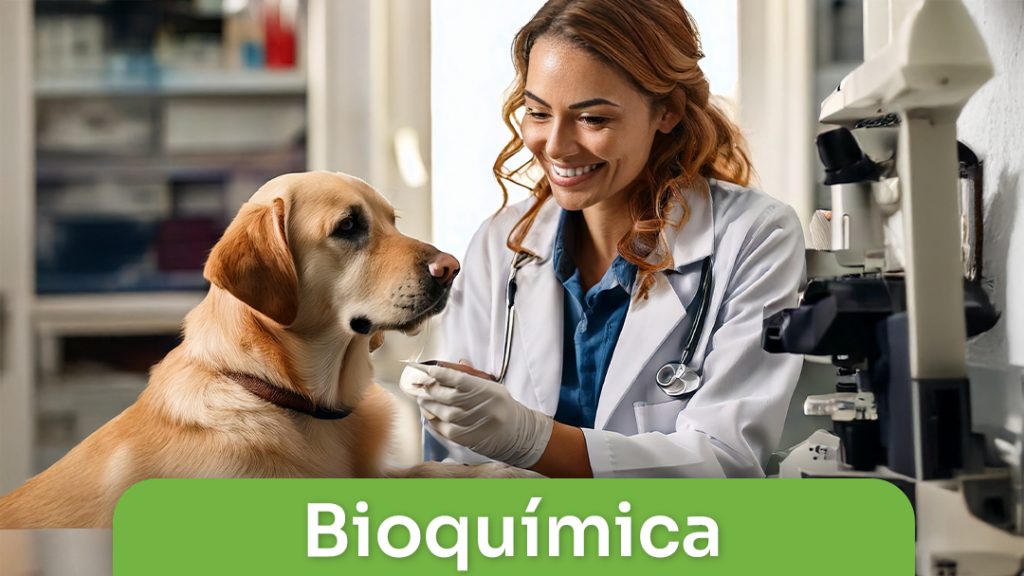 Bioquímica