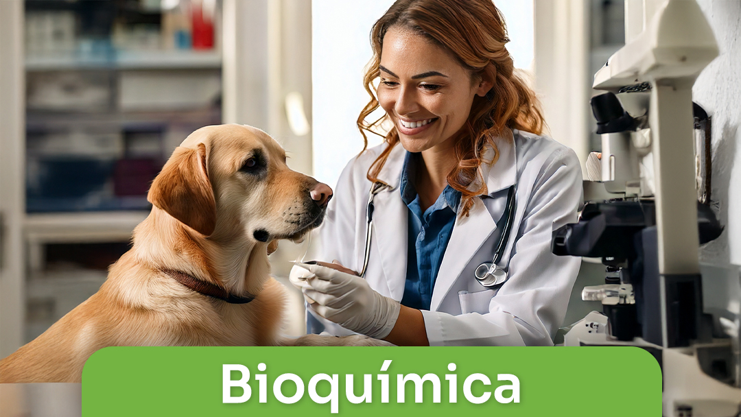 Bioquímica
