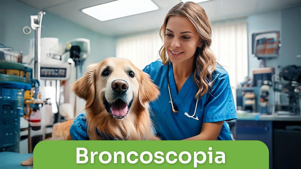 Broncoscopia