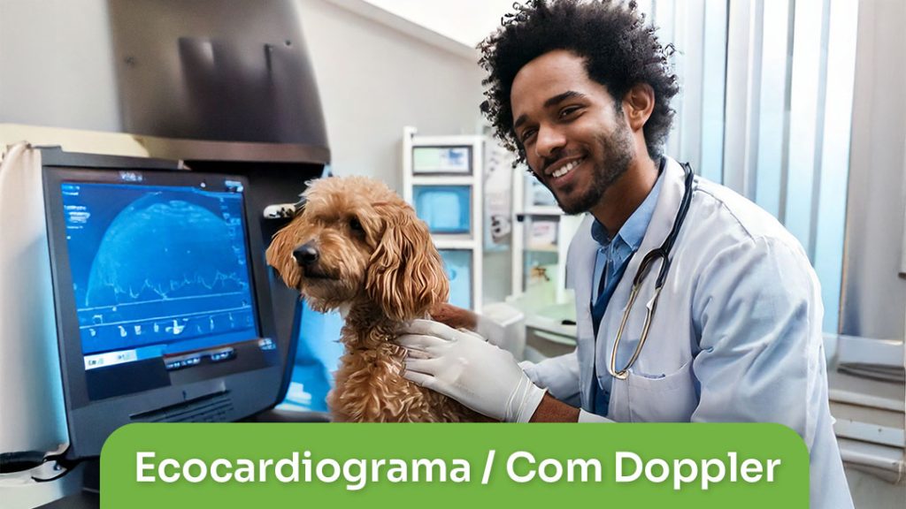 Ecocardiograma-Com-Doppler