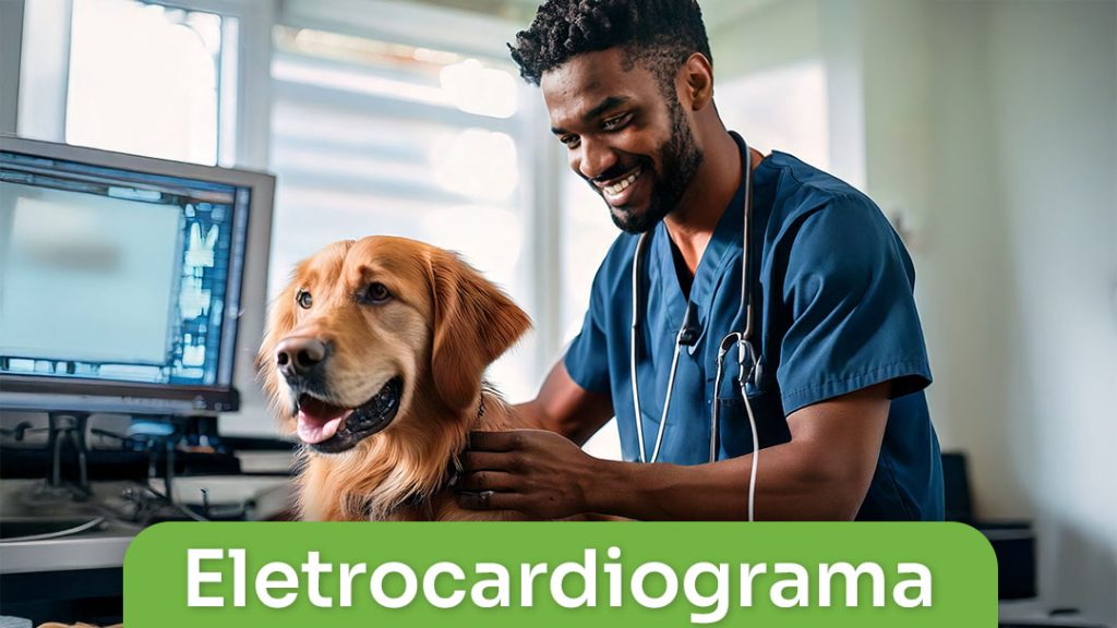 Eletrocardiograma