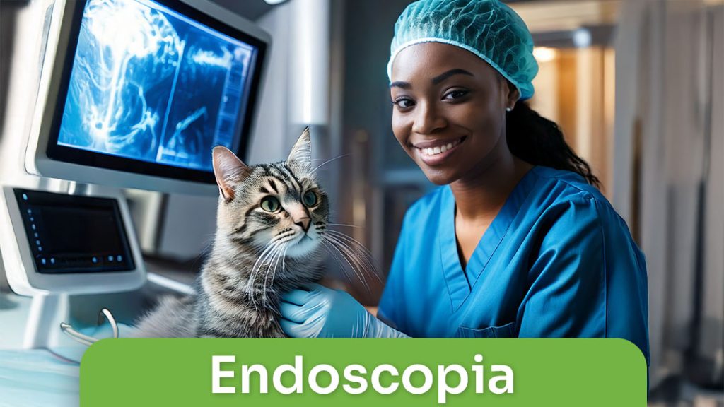 Endoscopia