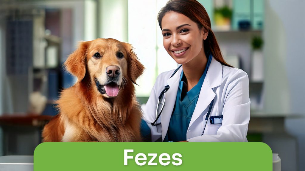 Fezes