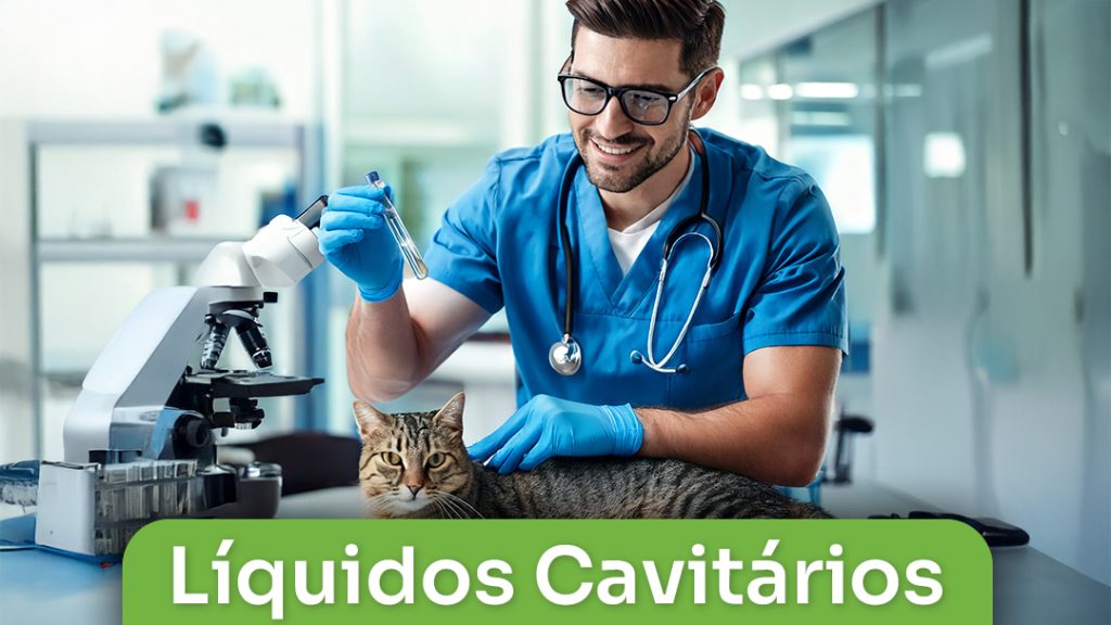 Líquidos Cavitários