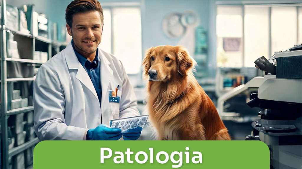 Patologia