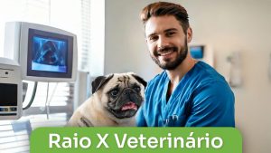Raio-X-Veterinário