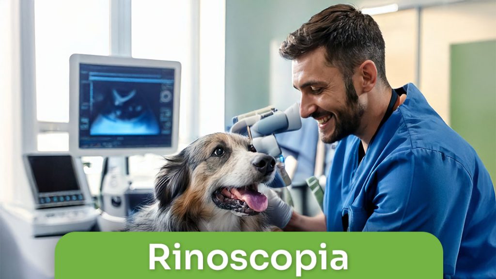 Rinoscopia
