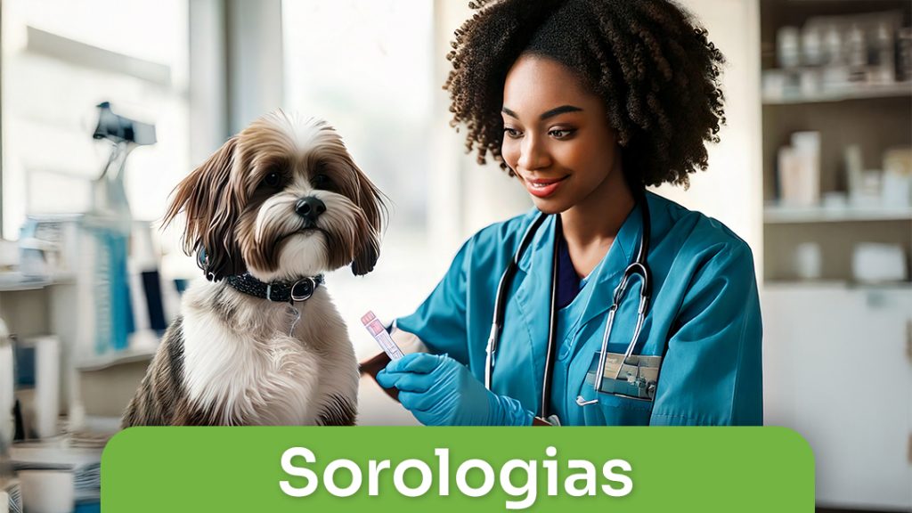 Sorologias