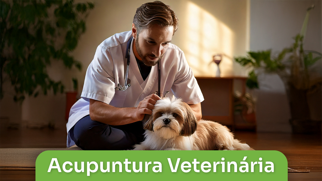 Acupuntura Veterinária