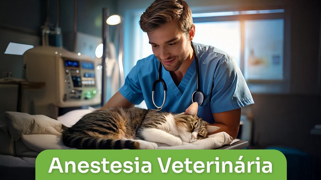 Anestesia Veterinária