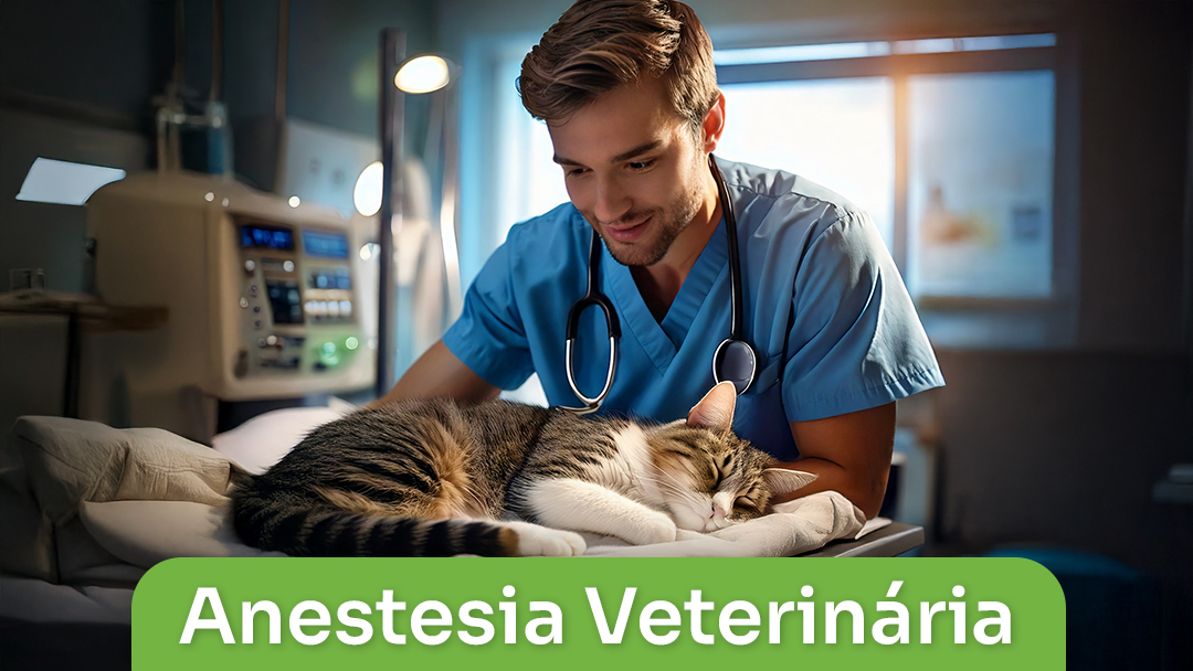 Anestesia Veterinária