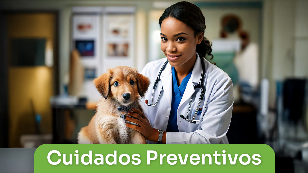 Cuidados Preventivos