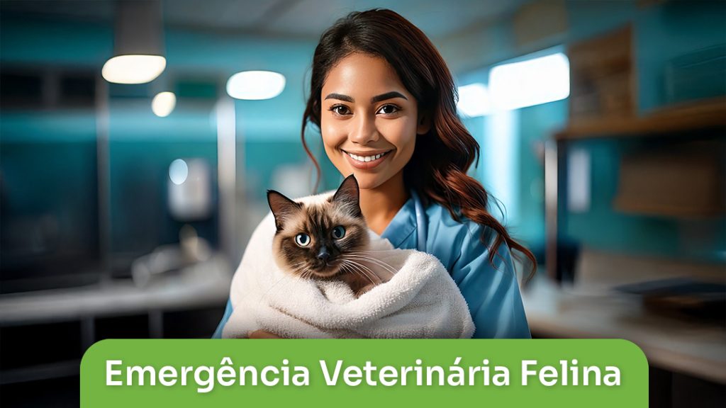 Emergencia Veterinaria Felina