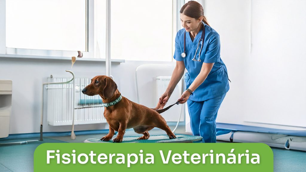 Fisioterapia Veterinária