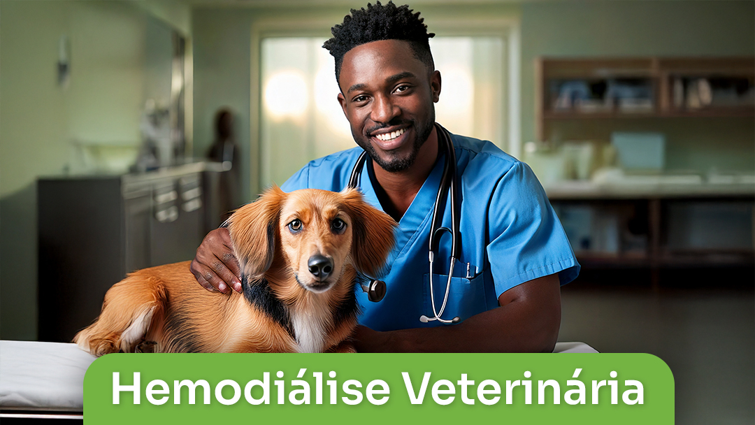 Hemodiálise Veterinária