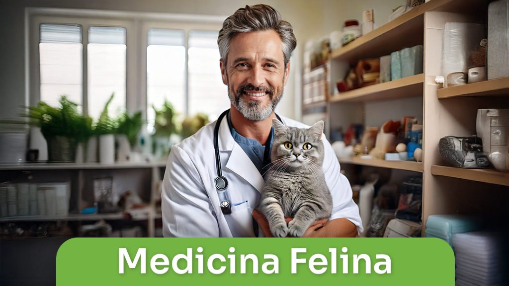 Medicina Felina