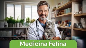 Medicina Felina