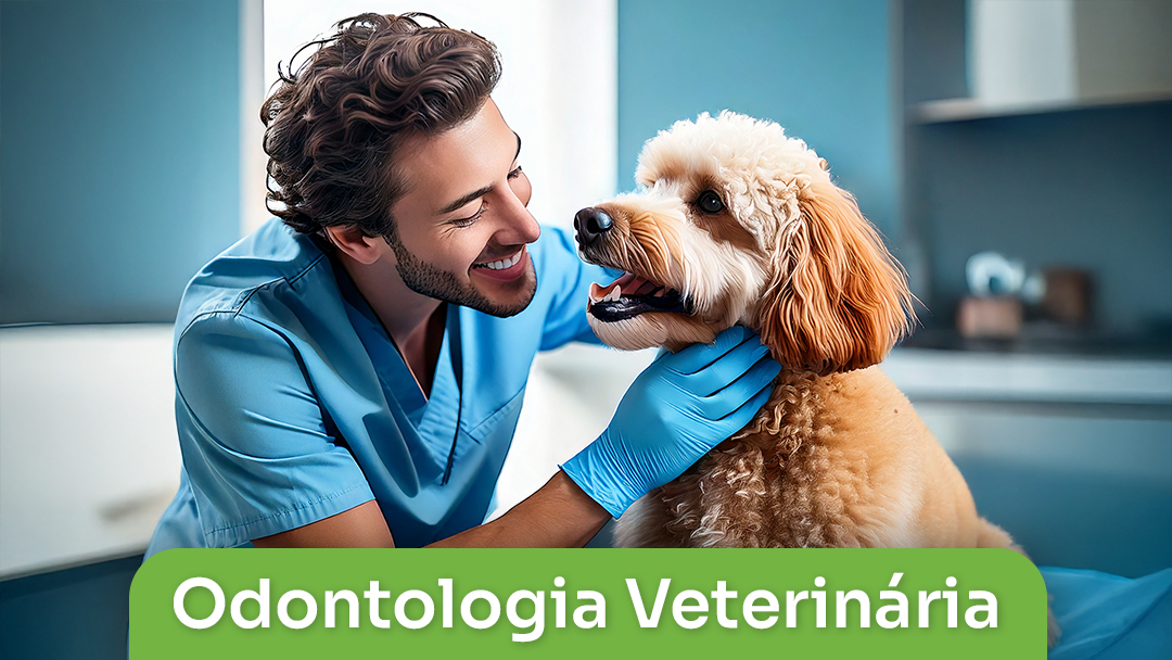 Odontologia Veterinária