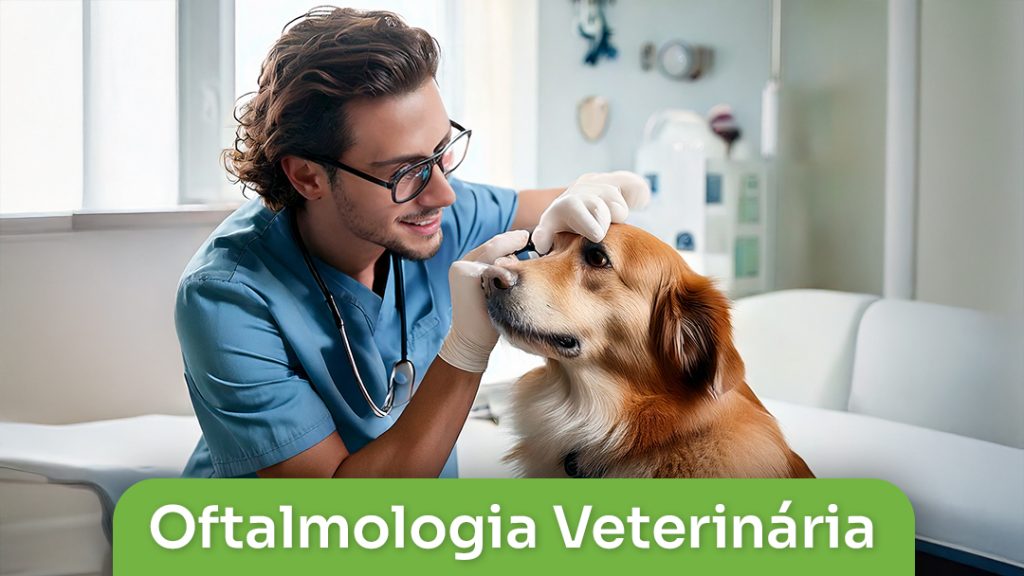 Oftalmologia Veterinária