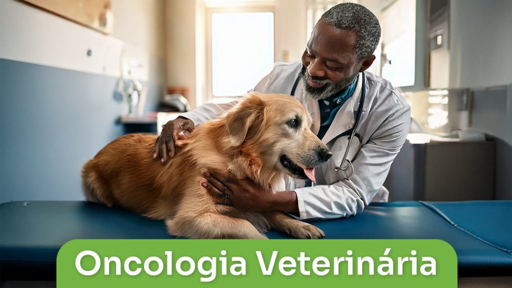 Oncologia Veterinária
