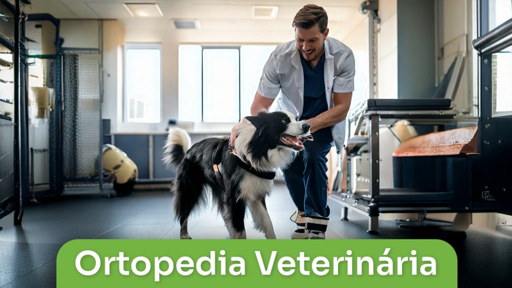 Ortopedia Veterinária