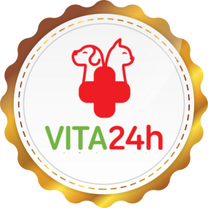 Vita24h